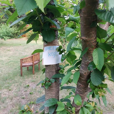 Hébergement de vacances Eichberg Ferienhaeuser *