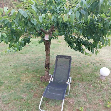 Dom wakacyjny Eichberg Ferienhaeuser *