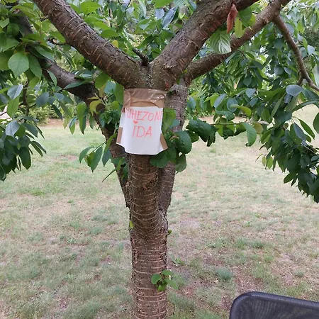 Dom wakacyjny Eichberg Ferienhaeuser *