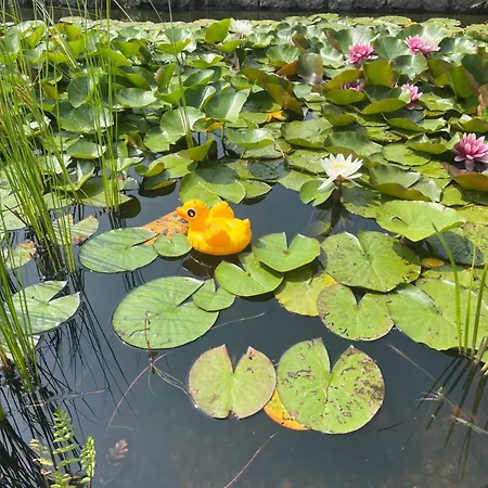 Eichberg Ferienhaeuser