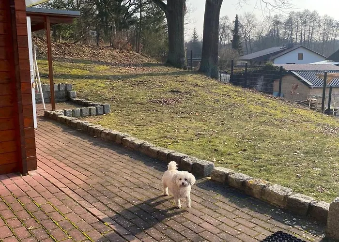 Eichberg Ferienhaeuser بيت للعطل