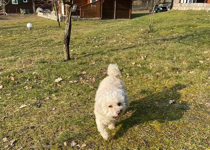 Eichberg Ferienhaeuser Fürstenberg-Havel