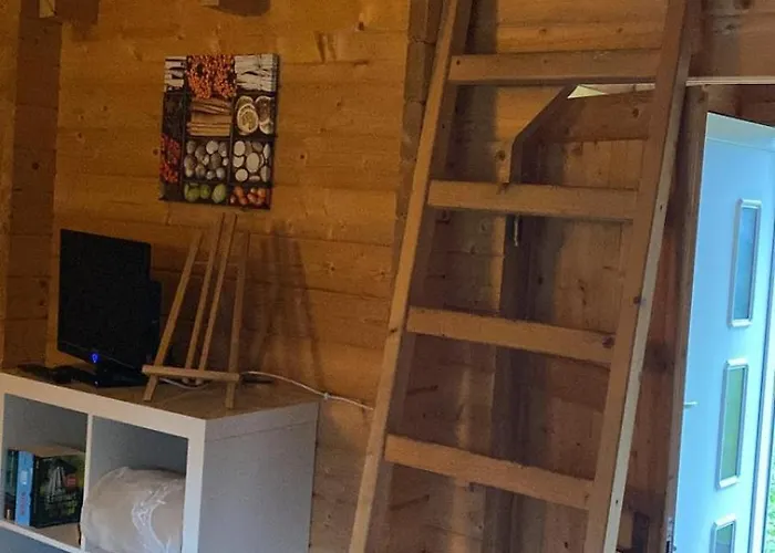 Eichberg Ferienhaeuser 度假居 *