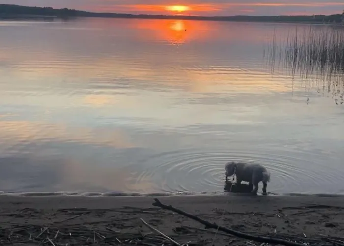 Eichberg Ferienhaeuser Semesterbostad