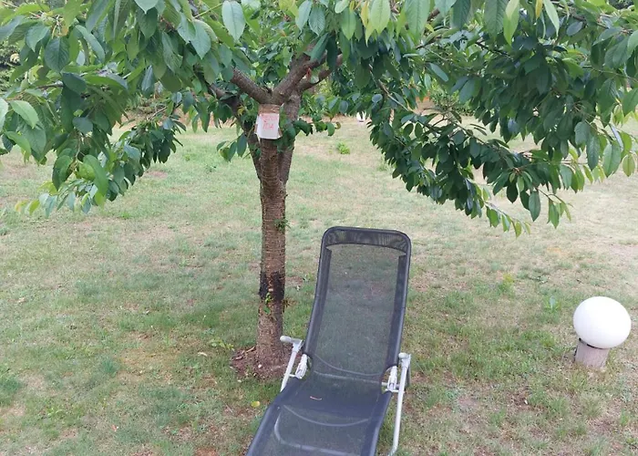 度假居 Eichberg Ferienhaeuser *