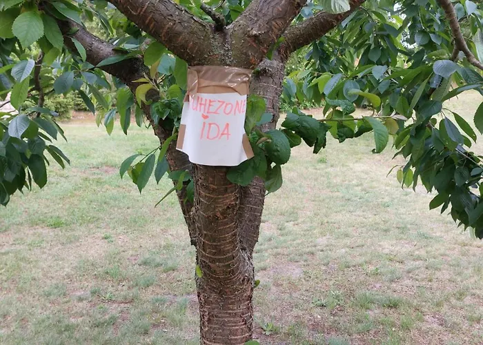 Semesterbostad Eichberg Ferienhaeuser *