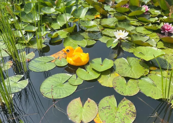 Eichberg Ferienhaeuser